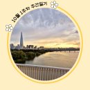 연하 경로당 | 가을을 진득하게 즐기는 법 | 2024년 10월 1주 주간일기