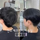 에코이티