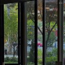 평창우선생 이미지