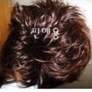 이라다