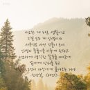 공존의 행복 네이버블로그