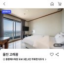 경북여관 | 경북 울진군 #고래꿈호텔 절대 비추천 후기(여관st,,)