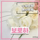 보로하 - 수원시 권선구 권중로4번길 12 | 보로하