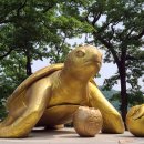 황금 행정사 사무소 이미지