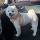 늘빛나 이미지