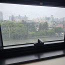 이정래산부인과의원 이미지