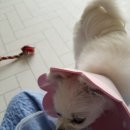 25시 죽곡동물병원 이미지