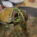 운연동 추어마을 | 인천대공원 맛집 [운연옛날추어탕] 우거지추어탕과 솥밥 후기