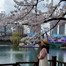 사월이네 이미지