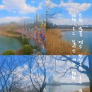 실시간 현황 호수 둘레길 벚꽃길 벚꽃 구경 가볼만한곳 2026 만석거 새빛축제 초대가수 행사일정 주차장