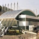 신성태권도체육관 이미지