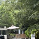 977 | 전주 근교 계곡, 완주 동상 물놀이 추천 대아리977 수영장 아기랑 이용후기