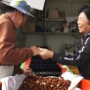 성리농장 네이버블로그