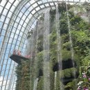 우림슈퍼 이미지