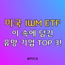 미국 중소형 ETF IWM 유망 기업 TOP 3