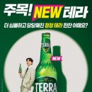 테라 이미지