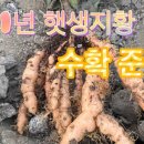 김원섭농장 이미지