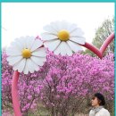 김소월푸드 이미지