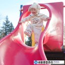 세움어린이집 놀이터 이미지