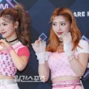 러브퍼플