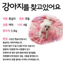 영락고등학교 이미지