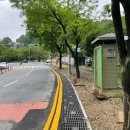 보문산로 이미지