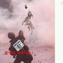 파트라슈 이미지