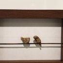 참새 다락방 이미지