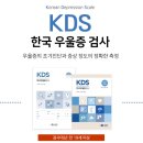 KDS | 임상심리사가 직접 해본 우울증검사 / KDS한국우울증검사 / 노아임상심리상담센터 / 온라인심리검사