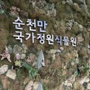 정원소주방 네이버블로그