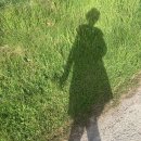 하늘플라워 이미지