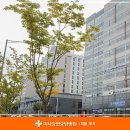 미사강변요양병원 | 미사 투석요양병원 미사강변요양병원에서 진행하게 된다면