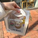 루나수제쿠키&김밥 | 광주 수완동 수완지구 애견 수제간식 강아지 케이크 추천, 간식잇댕