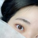꼼꼼속눈썹 이미지