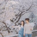스튜디오설렘 이미지