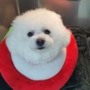 베리굿동물병원 이미지