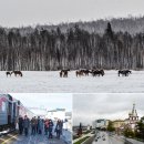 ﻿세계 모든 여행가들의 꿈! 시베리아 횡단열차-겨울 바이칼 탐방 이미지