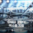광주24시스카이동물메디컬센터 이미지