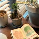 남부파출소 1층 이미지