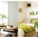 자연이숨쉬는집 이미지