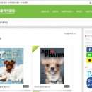 애니팜약국 이미지