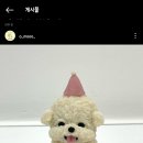 오뭉 이미지