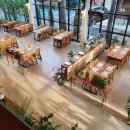 산드로아울렛롯데 - 용인시 기흥구 신고매로 124 | 산드로아울렛롯데