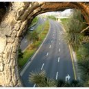 고향의봄길 이미지