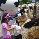 중부목장 이미지