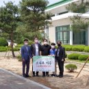 홍광초등학교 이미지
