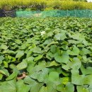 산우물농장 이미지