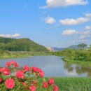 메타세쿼이어길 화장실 이미지