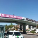 국립암센터 앞 정류장 이미지