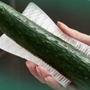 커버닷 이미지